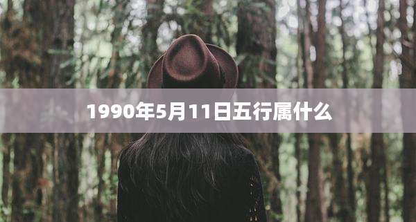 1990年5月11日五行属什么