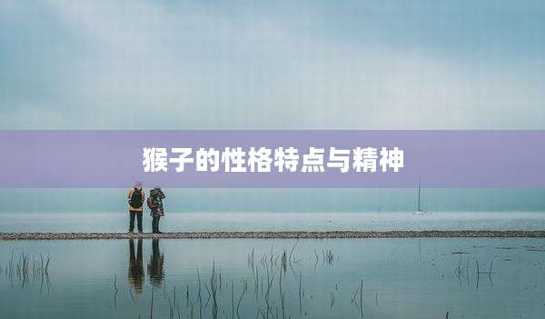 猴子的性格特点与精神