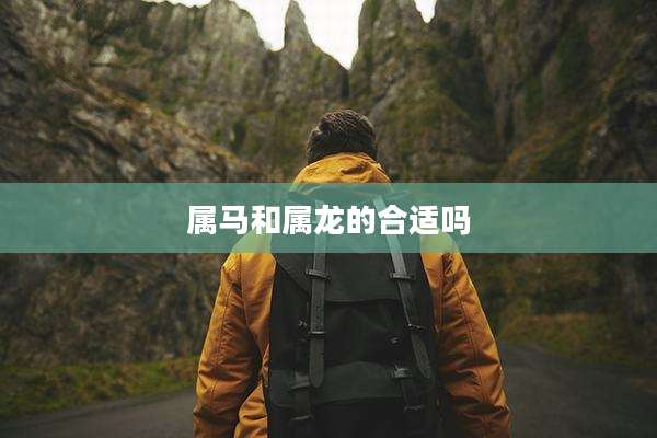 属马和属龙的合适吗
