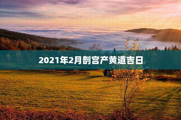 2021年2月剖宫产黄道吉日
