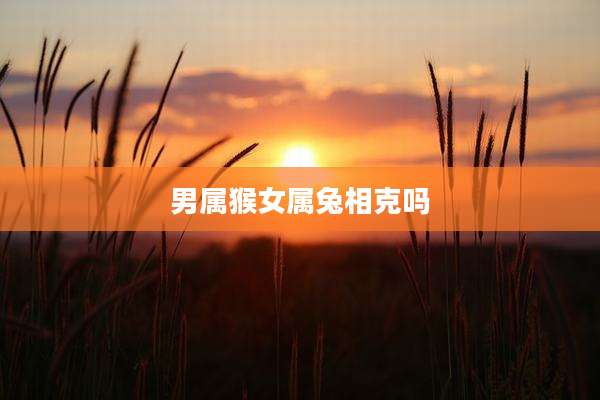 男属猴女属兔相克吗