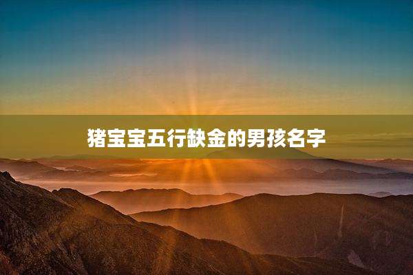 猪宝宝五行缺金的男孩名字