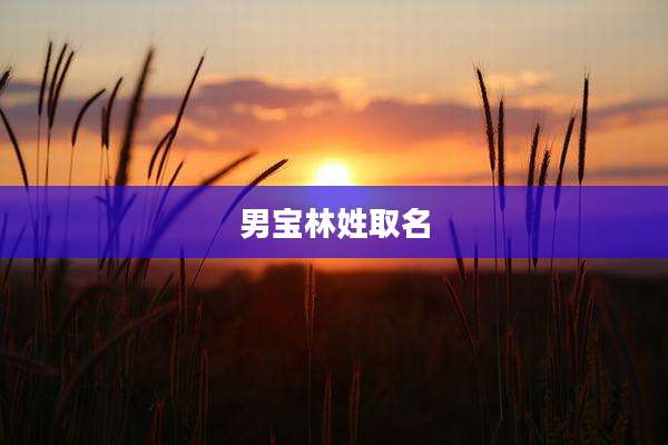 男宝林姓取名