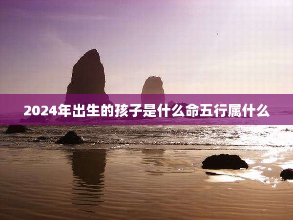2024年出生的孩子是什么命五行属什么