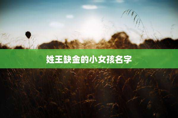 姓王缺金的小女孩名字