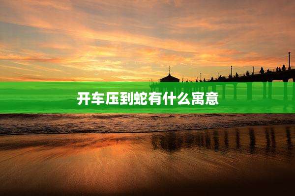 开车压到蛇有什么寓意