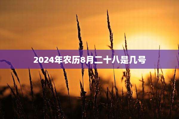 2024年农历8月二十八是几号