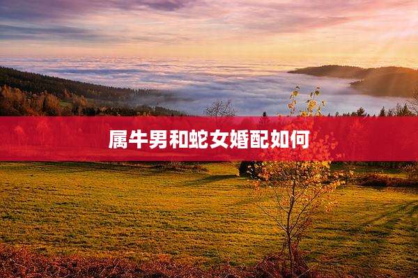 属牛男和蛇女婚配如何