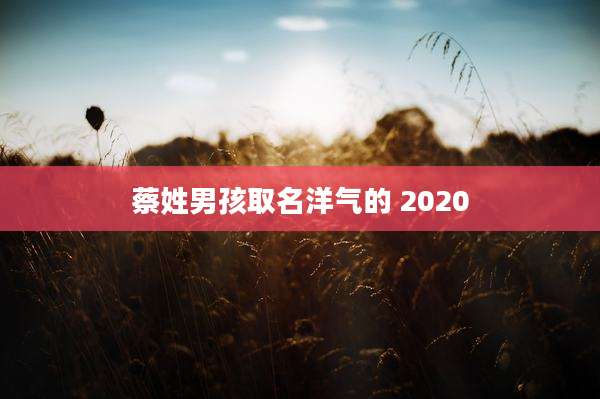 蔡姓男孩取名洋气的 2020