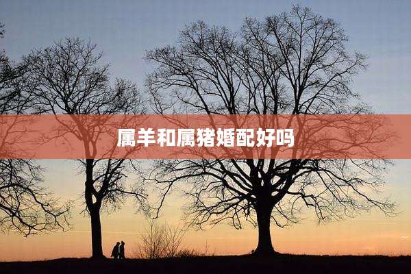 属羊和属猪婚配好吗