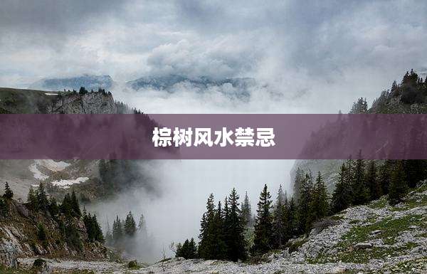 棕树风水禁忌