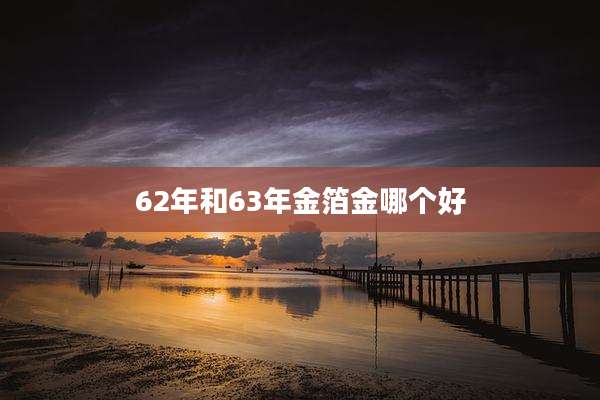 62年和63年金箔金哪个好