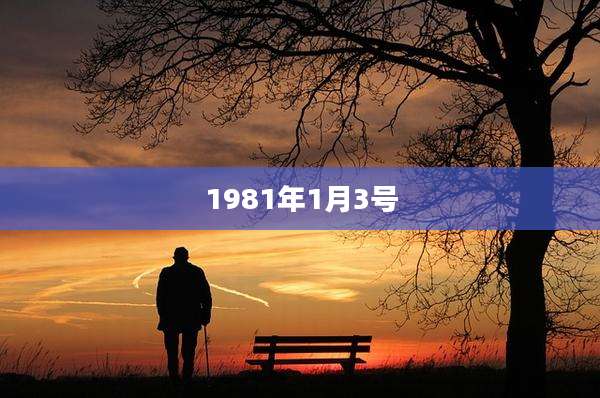 1981年1月3号