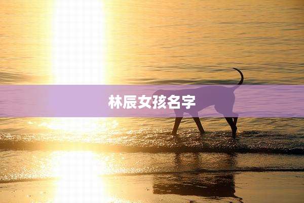 林辰女孩名字