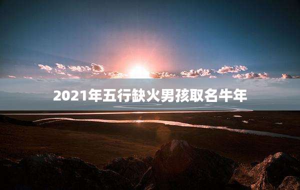 2021年五行缺火男孩取名牛年