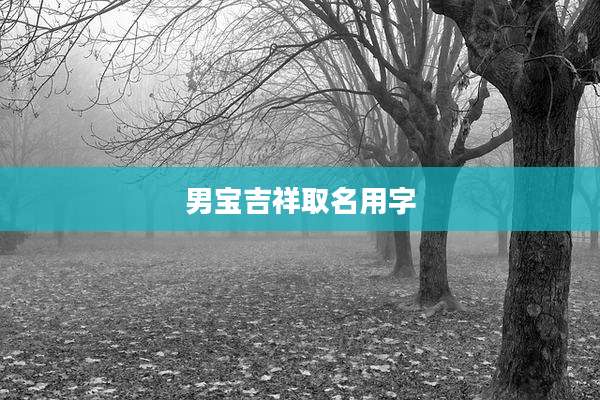 男宝吉祥取名用字