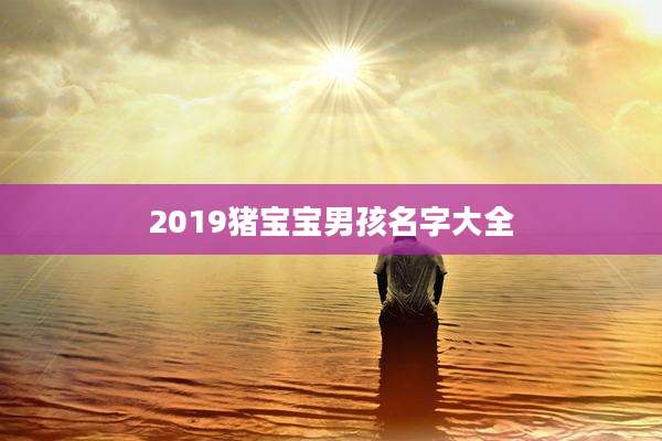 2019猪宝宝男孩名字大全