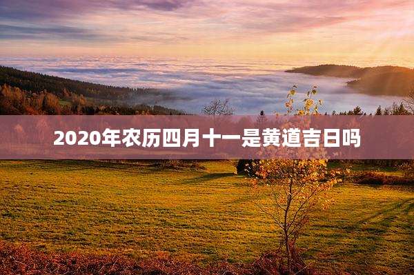 2020年农历四月十一是黄道吉日吗