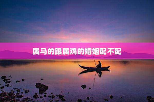 属马的跟属鸡的婚姻配不配