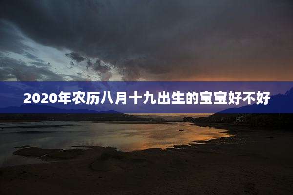 2020年农历八月十九出生的宝宝好不好