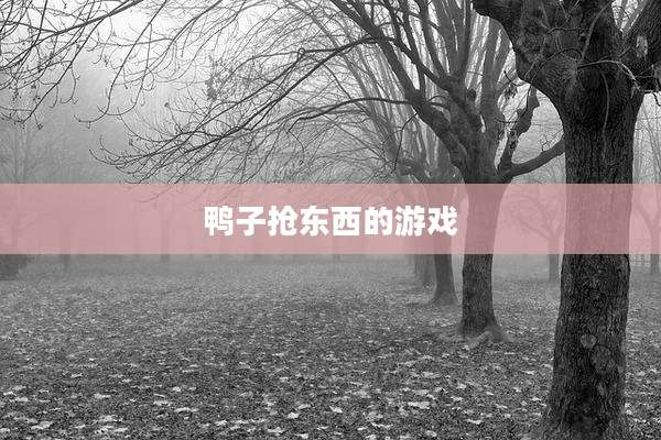 鸭子抢东西的游戏