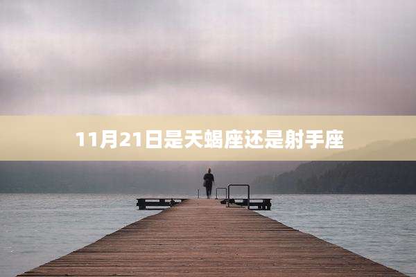 11月21日是天蝎座还是射手座