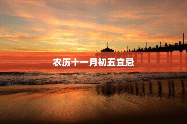 农历十一月初五宜忌