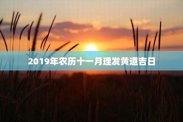 2019年农历十一月理发黄道吉日
