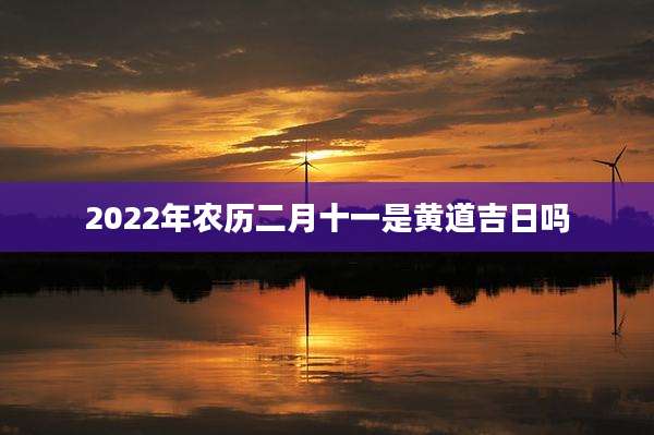 2022年农历二月十一是黄道吉日吗