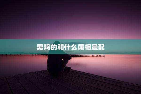男鸡的和什么属相最配