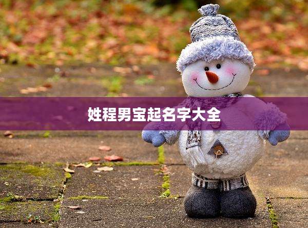 姓程男宝起名字大全