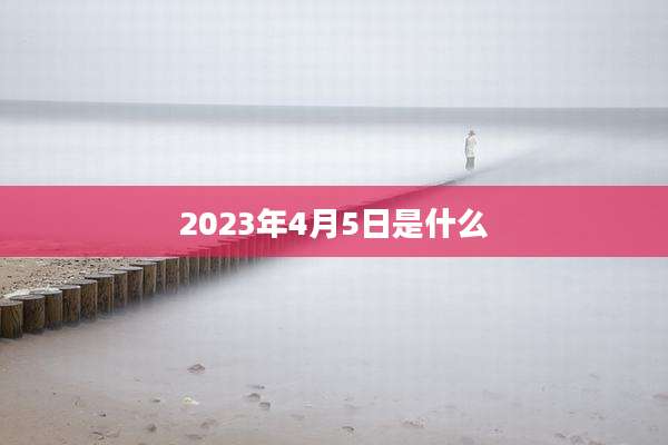 2023年4月5日是什么
