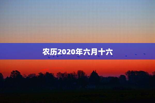 农历2020年六月十六