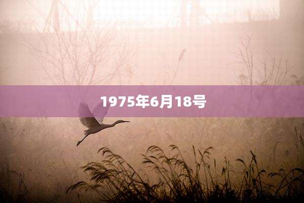 1975年6月18号