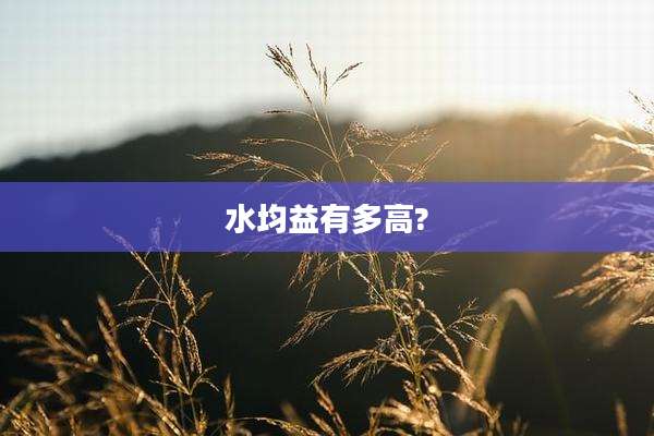 水均益有多高?