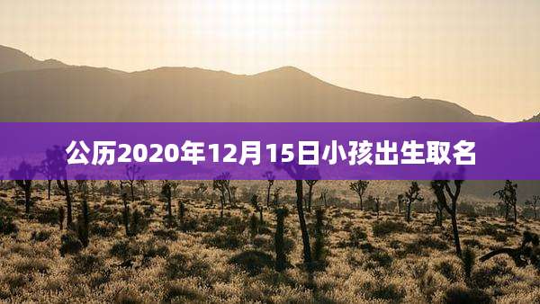 公历2020年12月15日小孩出生取名