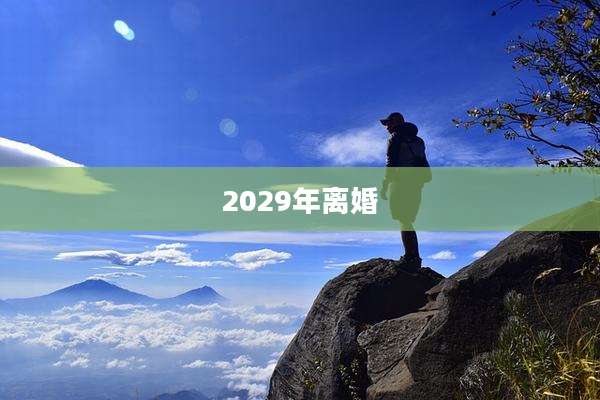 2029年离婚
