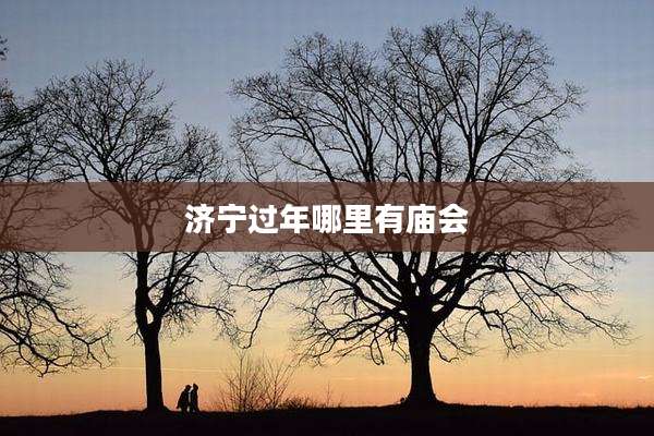 济宁过年哪里有庙会