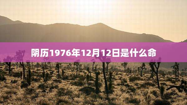阴历1976年12月12日是什么命