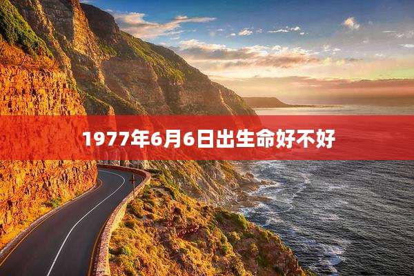 1977年6月6日出生命好不好