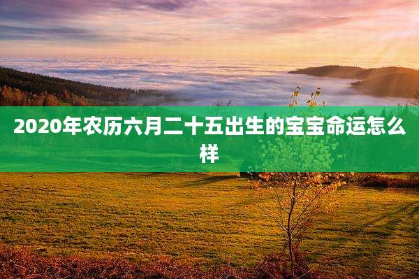 2020年农历六月二十五出生的宝宝命运怎么样