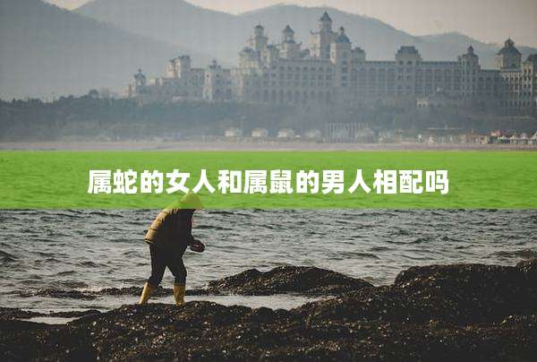 属蛇的女人和属鼠的男人相配吗