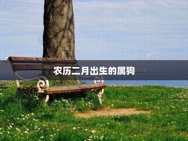 农历二月出生的属狗
