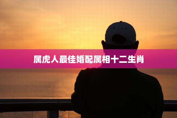 属虎人最佳婚配属相十二生肖