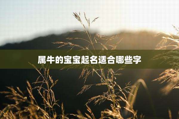 属牛的宝宝起名适合哪些字
