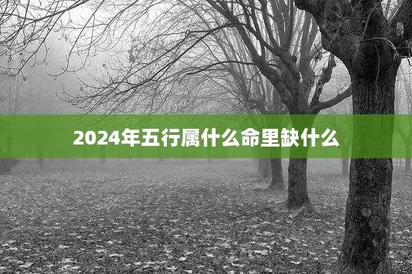 2024年五行属什么命里缺什么