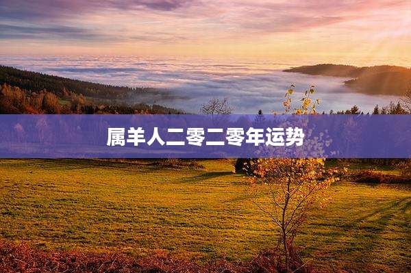 属羊人二零二零年运势