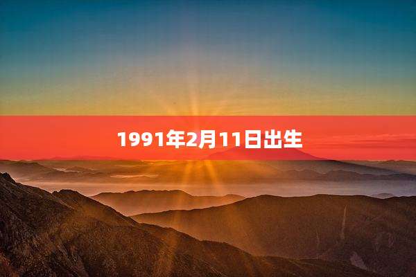 1991年2月11日出生