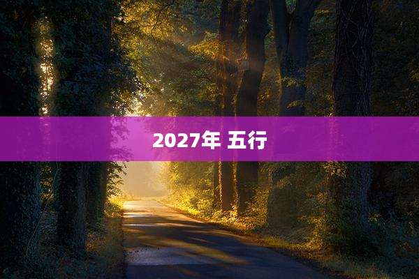 2027年 五行