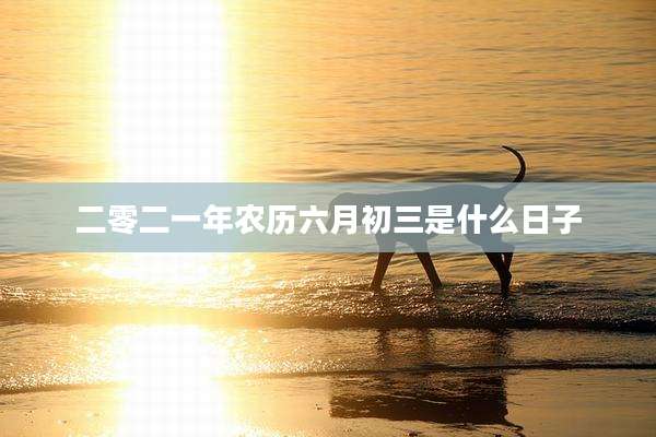 二零二一年农历六月初三是什么日子